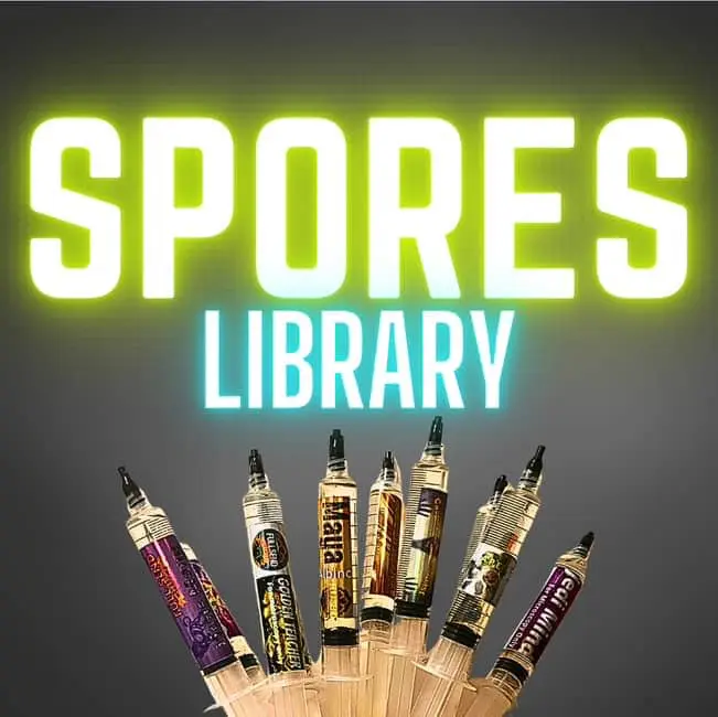 Mushroom Spores