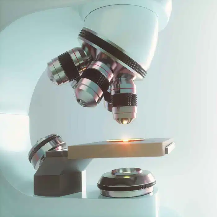 microscopy and mushroom spores