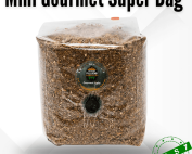 Gourmet Mushroom Grow Kit