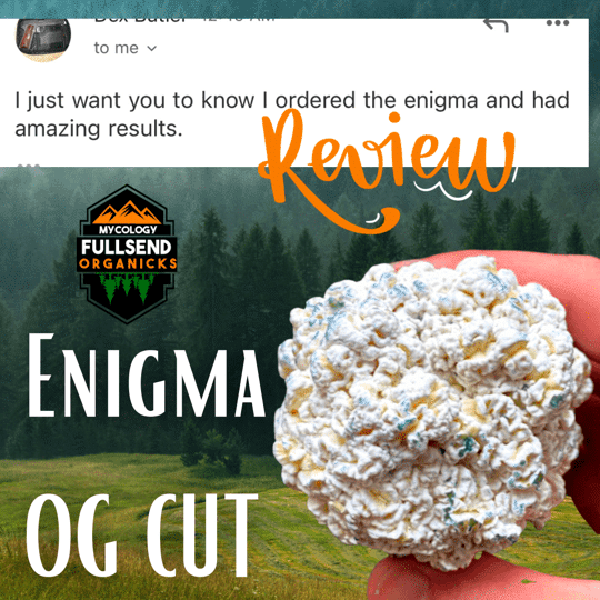 Enigma Cubensis Isolated Genetics (Og Cut)