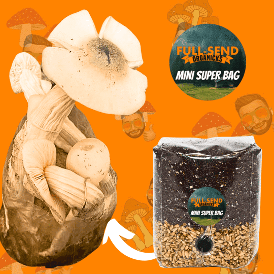 All-In-One MINI Manure Super Bag