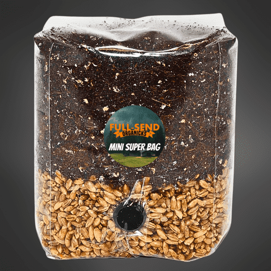All-In-One MINI Manure Mushroom Super Bag