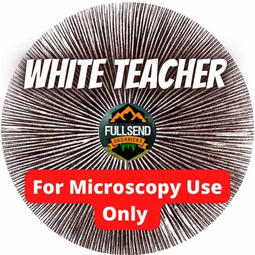 White Teacher Spores