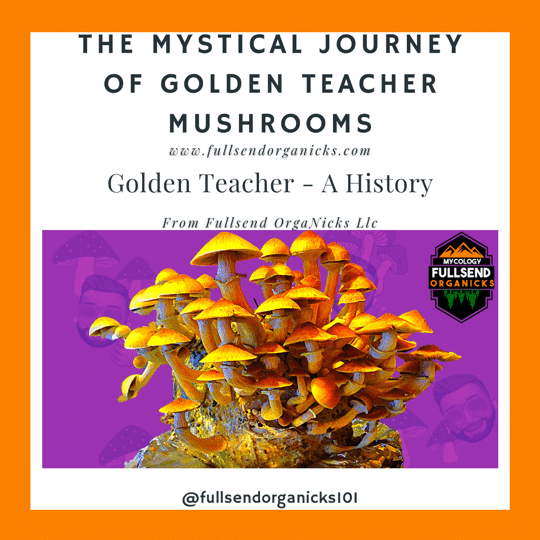 The Mystical Journey of Golden Teacher Mushrooms: A History