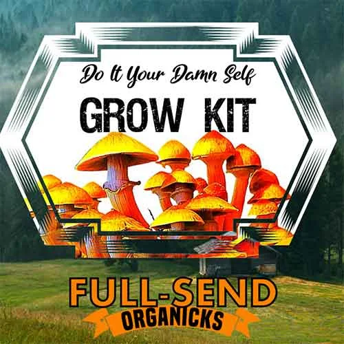 mushroom supplies do it your damn self grow kit