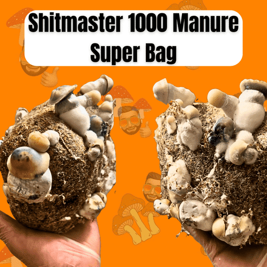 Shit Master 1000 Manure Based Mushroom Grow Bag