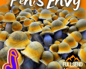 liquid culture penis envy