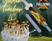 spores liquid culture golden teacher