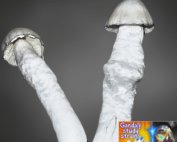 Liquid Culture Gandalf Mushroom