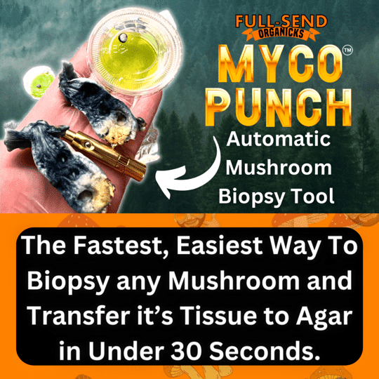 Myco Punch - Mycology Biopsy Tissue Tool!