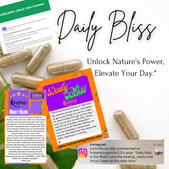Daily Bliss Mushroom Supplements Customer Review