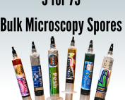 Mushroom Spore Syringe Bulk