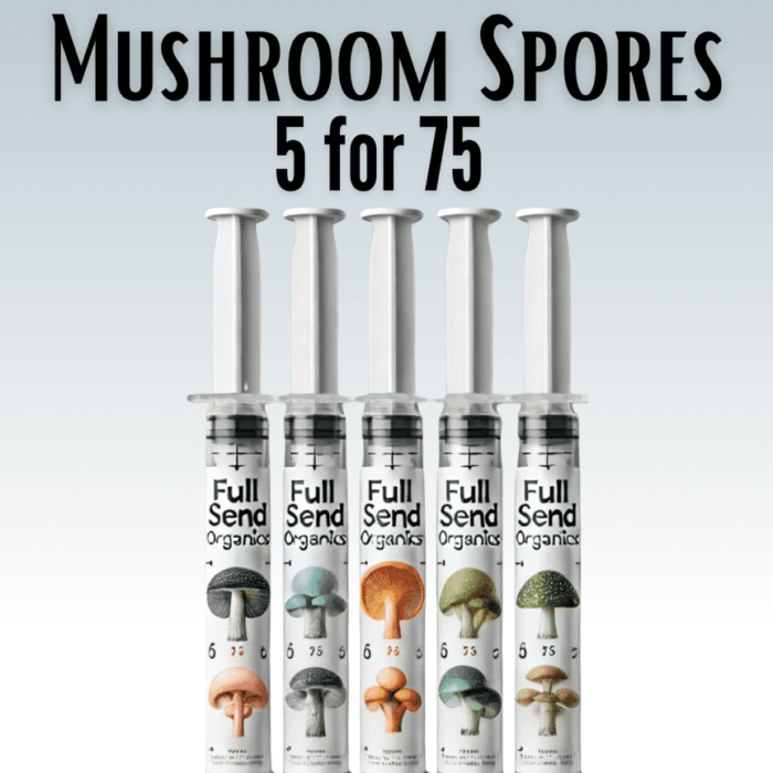 Psilocybin Cubensis Spores Bulk Supply!