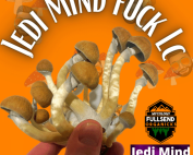Jedi Mind Fuck Liquid Syringe
