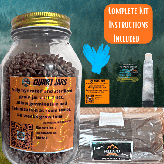 Rye Berry Quart jar Mushroom Grow Kit