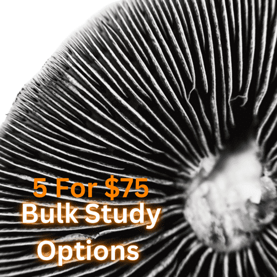 P. Cubensis Microscopy Bulk Supply!
