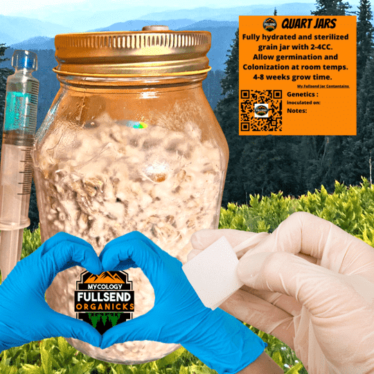 Rye Berry Quart jar Mushroom Grow Kit