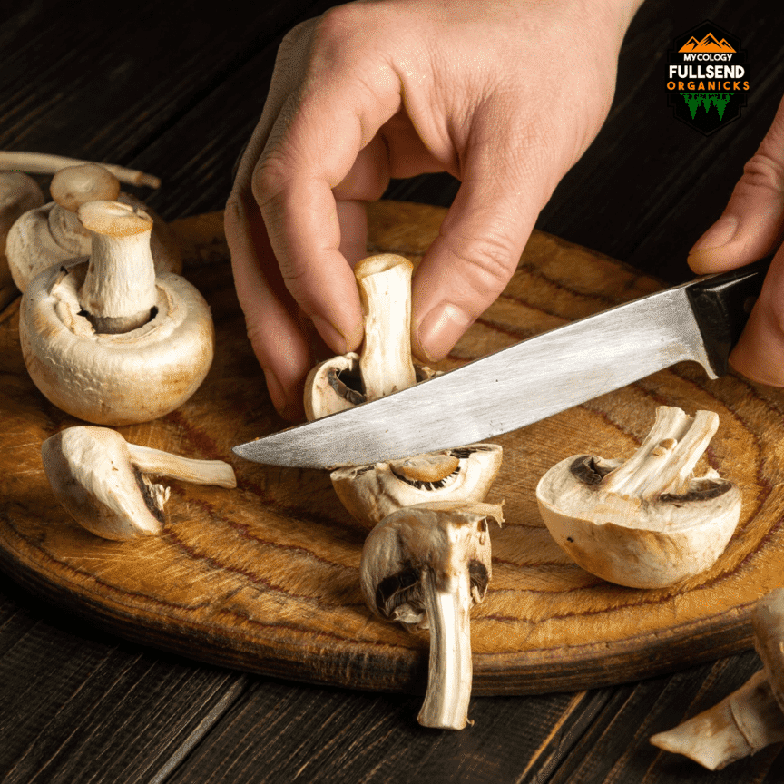 Mushroom Recipes - Enjoy the fruits of your labor.