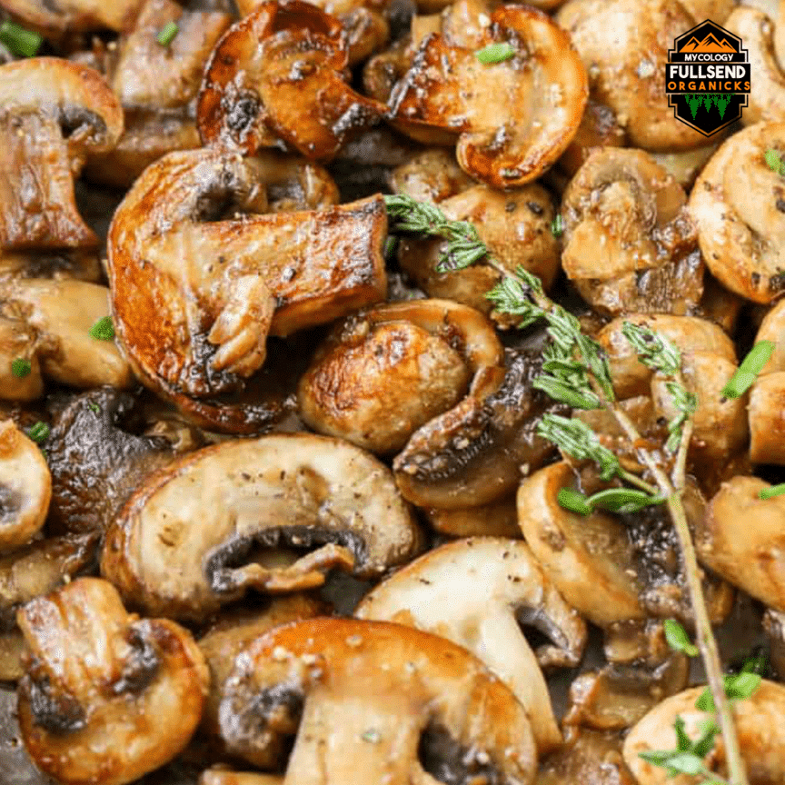 Mushroom Recipes - Enjoy the fruits of your labor.