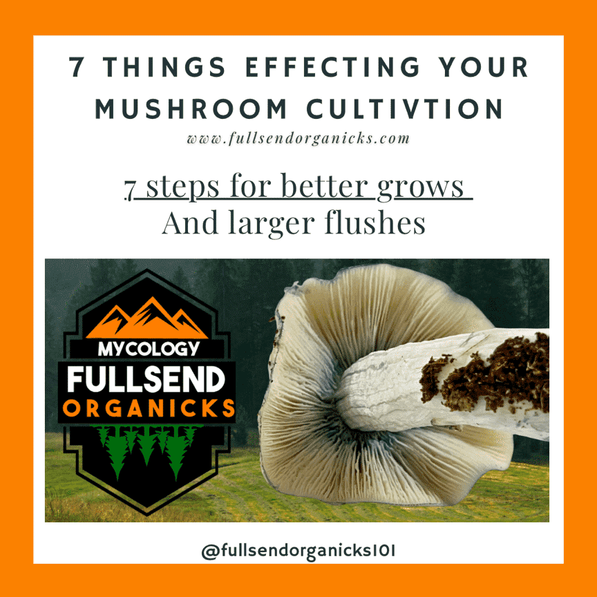 7 Factors Affecting Mushroom Cultivation