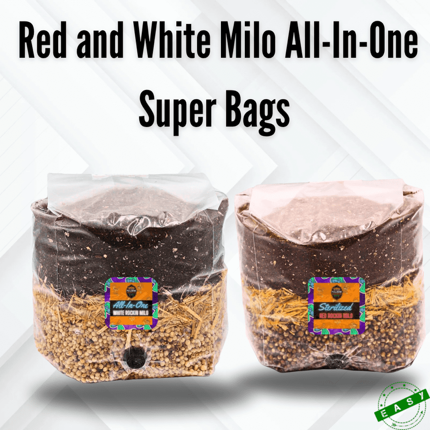 All-In-One Milo Super Bag | Mushroom supplies | grow bag