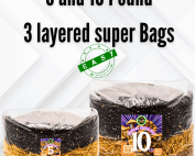 bulk mushroom cultivation, 5 lb mushroom grow bag, 10 lb mushroom grow kit, manure mushroom substrate, infused rye berries