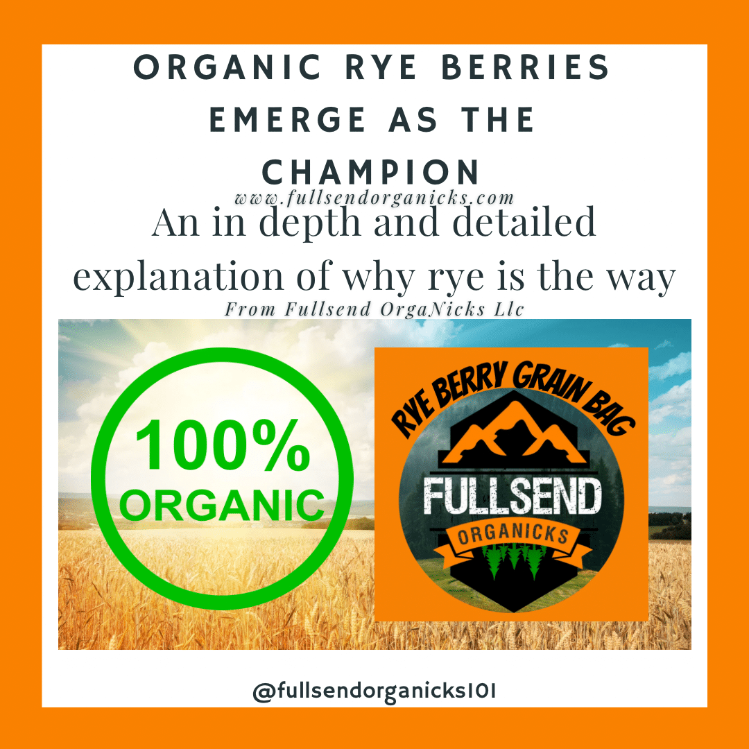 rye berry mushroom supplies
