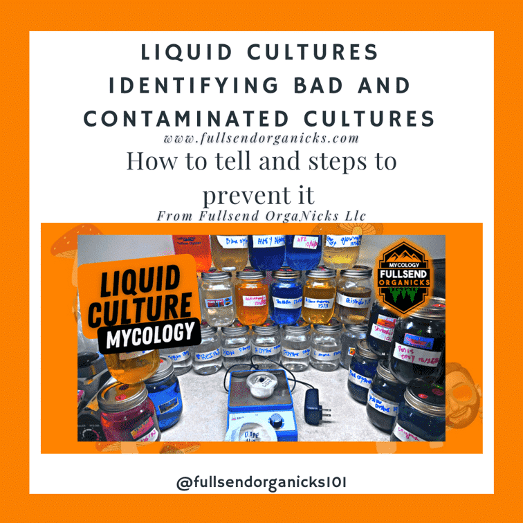Liquid Culture: In Depth and Detailed