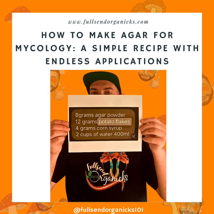 How to Make Agar for Mycology: A Simple Recipe with Endless Applications
