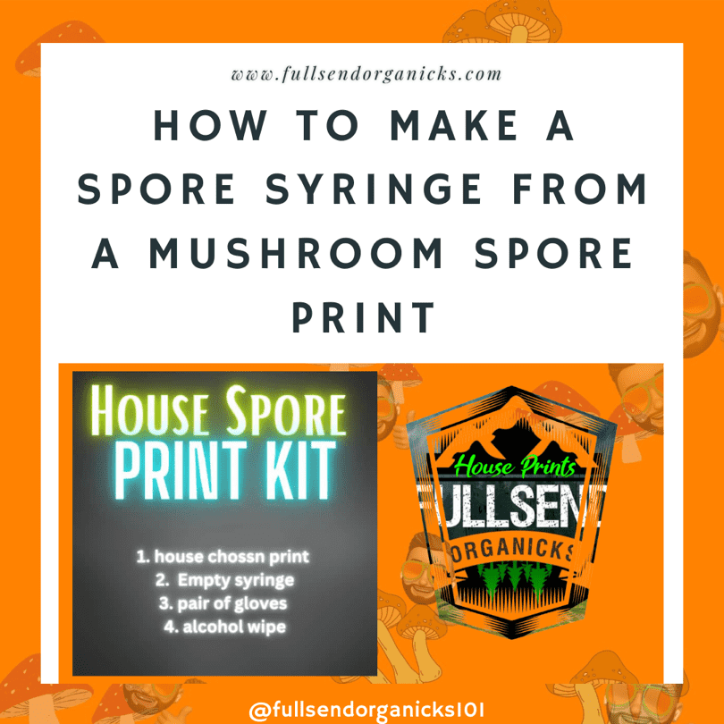 How to Make a Spore Syringe from a Mushroom Spore Print