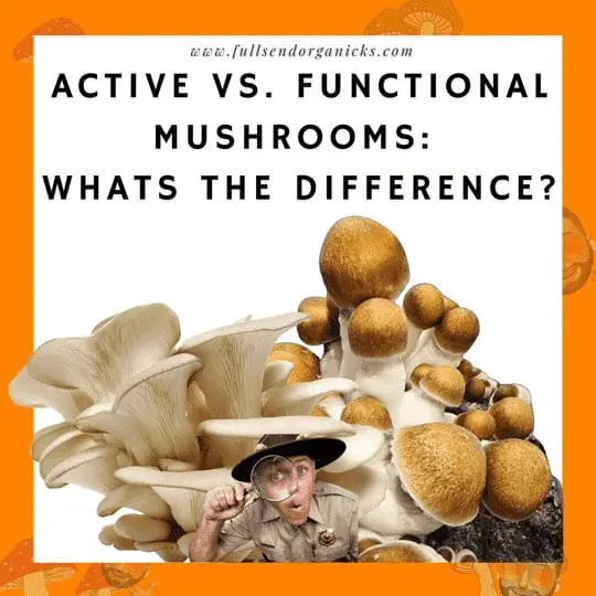 functional mushrooms
