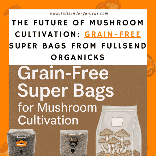 Shitmaster super bag blog