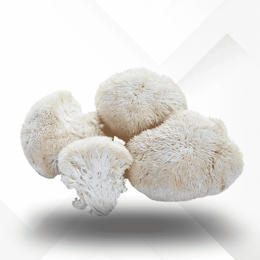 Mushroom Supplies - spores - liquid culture - super bags