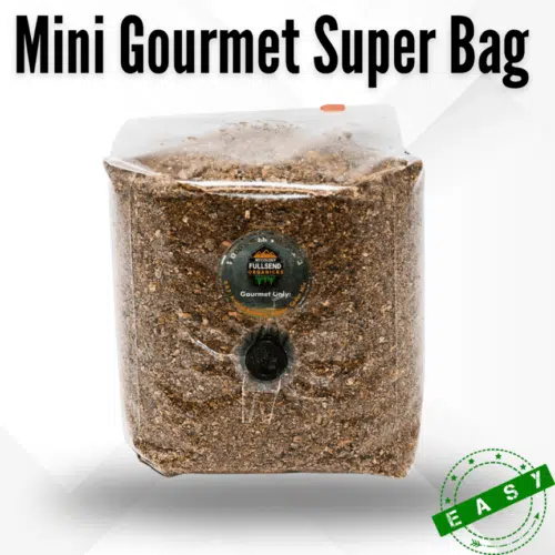 Gourmet Mushroom Grow Kit