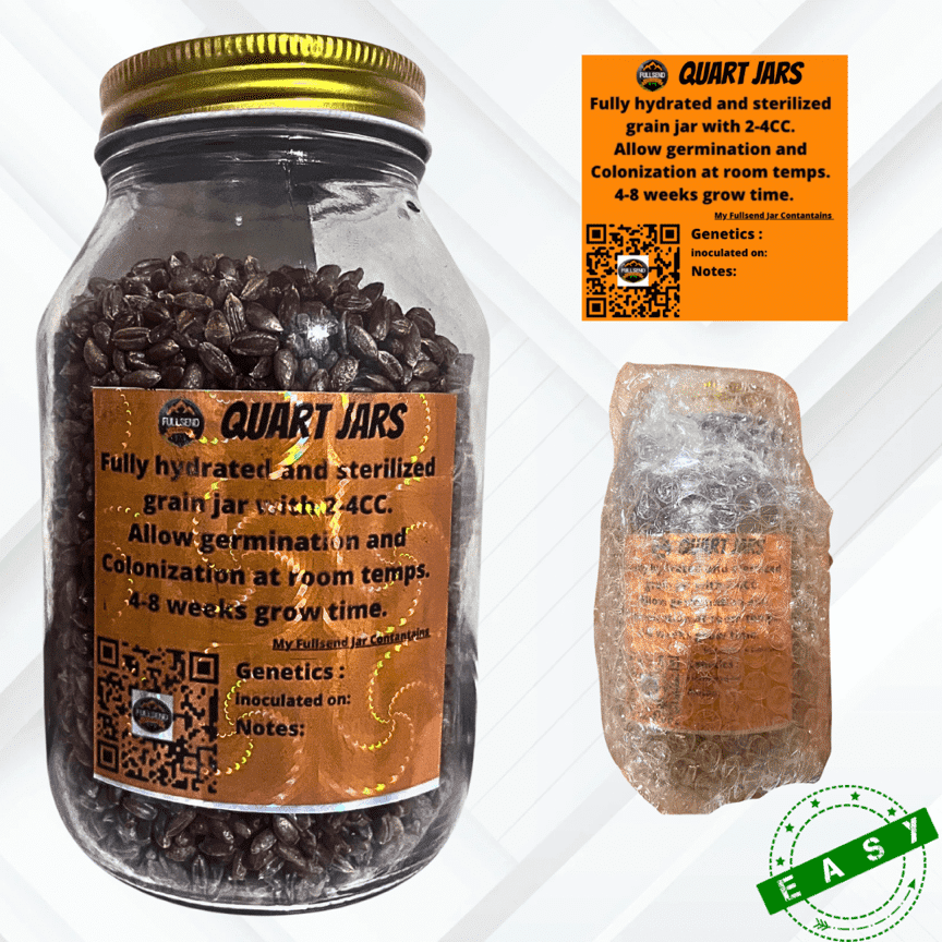 Rye Berry Inoculation Quart Jar!