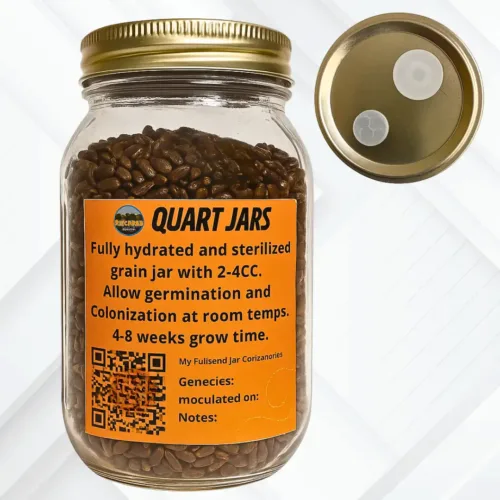 Rye Berry Inoculation Quart Jar!