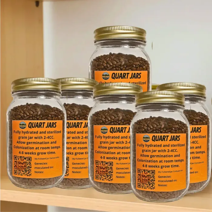 Rye Berry Inoculation Quart Jar!