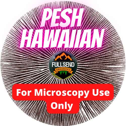 Pesh Hawaiian Spores