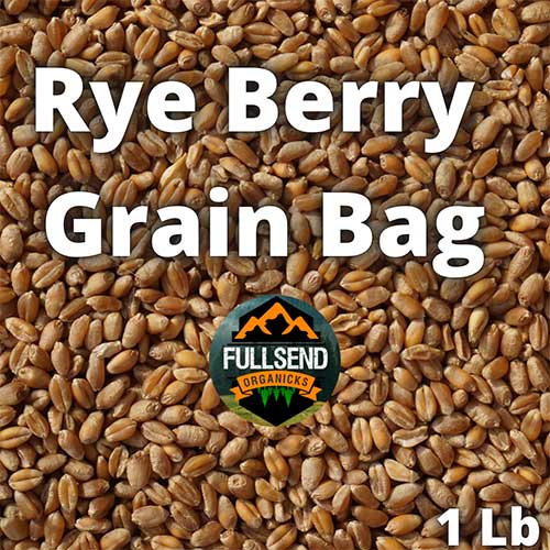 Rye Berry Mushroom Substrate (1.5Lb Premium Grain)