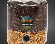 All-In-One MINI Manure Mushroom Super Bag