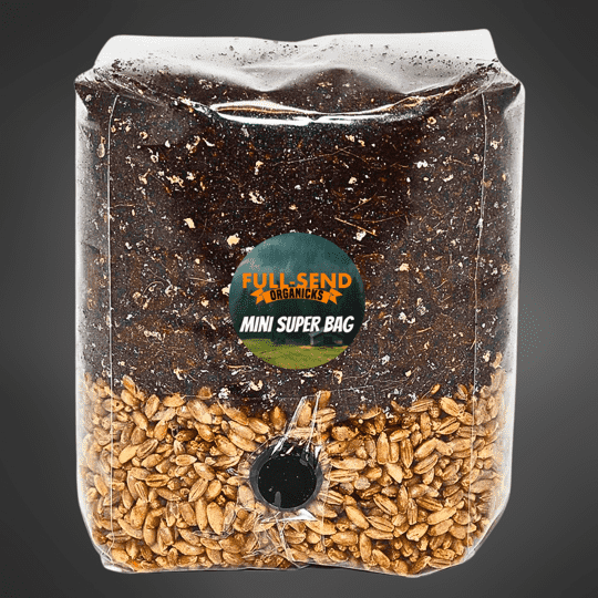 All-In-One MINI Manure Mushroom Super Bag