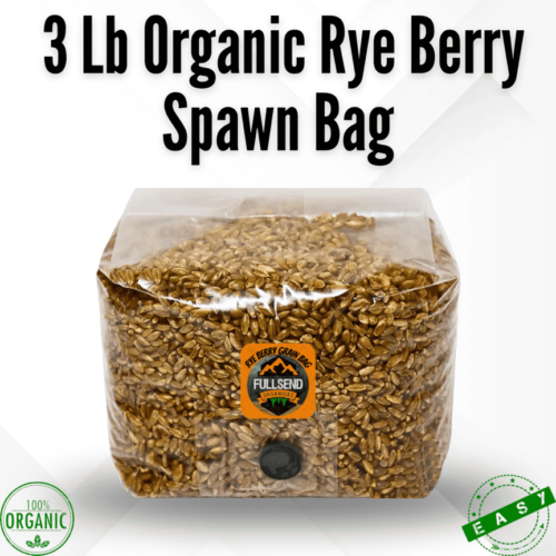 rye berry grain spawn bag | mushroom supplies