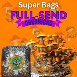 All-In-One Mushroom Manure Super Grow Kit (Complete Kit with Genetics) Customers Choice