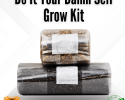 Do It Your Damn Self Mushroom Grow Kit!