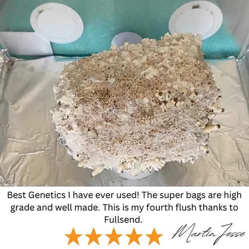super bag review