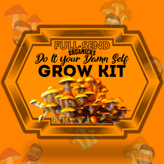 Do It Your Damn Self Mushroom Grow Kit!