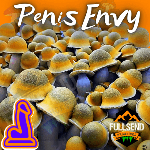 liquid culture penis envy