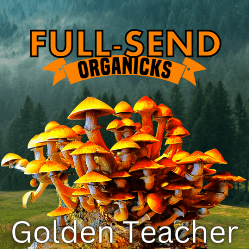 all in one mushroom grow bag results