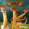 B+ Cubensis Mushroom Spores