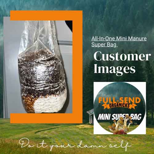 All-In-One Mini Manure Super Grow Bag